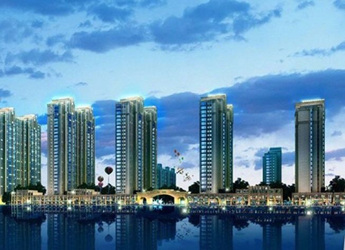 海口XG政策